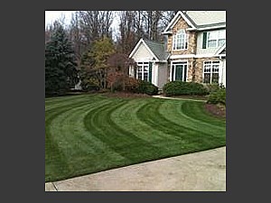 Lawn Striping